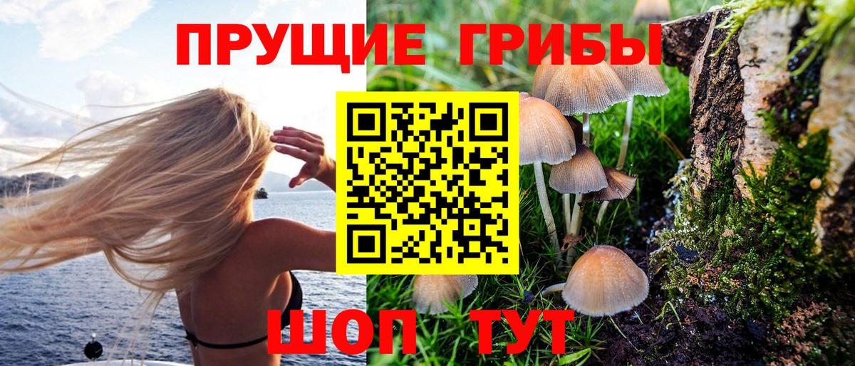 Псилоцибиновые грибы мицелий Мытищи